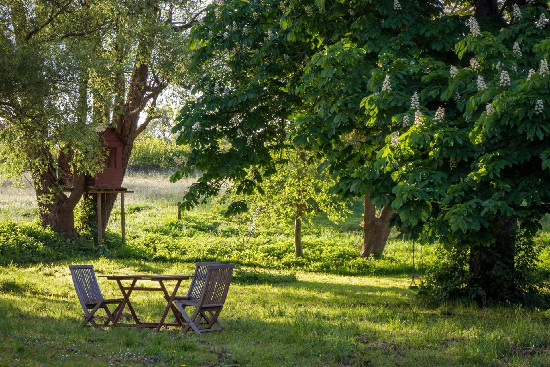 A wooden table and two chairs in a sunlit garden with a treehouse